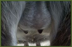 Raven's teats and bag on 12/21/10.