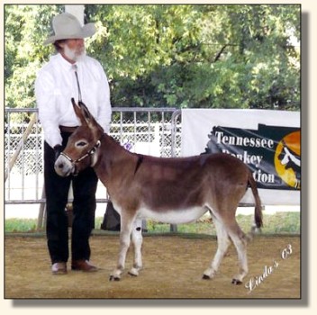 Bridget & Bob at The Tennessee State Fair