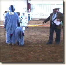 Dayle Rio and Bob in the costume class impressing the judge!