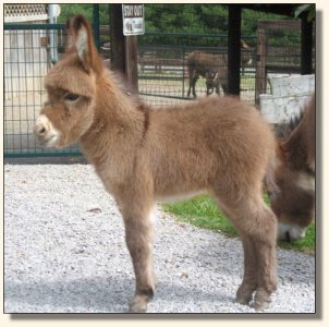 Click photo to enlarge