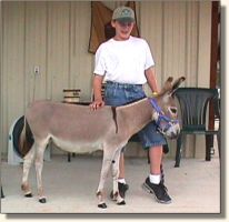 Jeffrey & Fancy Pants (9306 bytes)