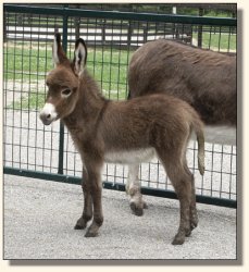 Wit's End Win One for the Gipper