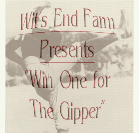 Wits End Win One for the Gipper!
