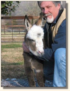 Wit's End Hallelujah, aka Hallie & Bob