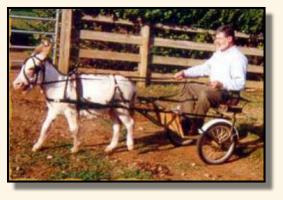 Bob driving our gelding, Jo Jo, for the first time! (13,962 bytes)