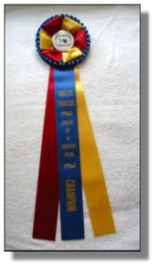 Champion Very Small Equine Division!