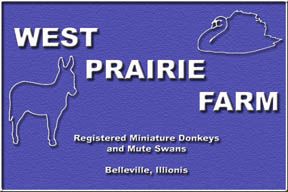 West Prairie Farm ~ Belleville, Illinois