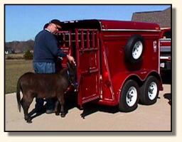 Racer heading South to his new home! (10,874 bytes)