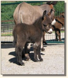 Wit's End Track Favorite