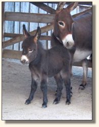 Wit's End Track Favorite