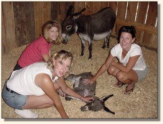 WhyNameIt Farm's Just Precious