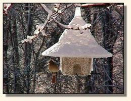 Winter @ Wit's End (15,239 bytes)