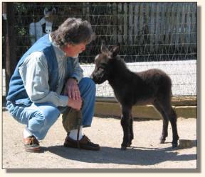 Wit's End X-treme Elegance, aka Ellie