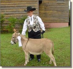 My World Zena, Warrier Princess & Sandy winning 4th place at halter!
